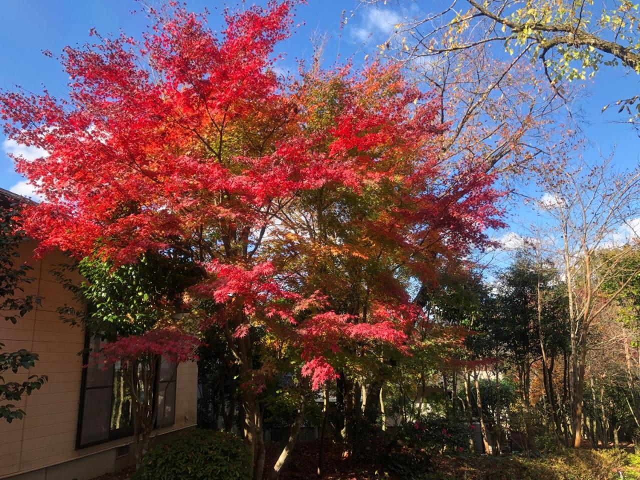 湯布院 星の里 Yufuin Hoshinosato Bed & Breakfast Exterior photo